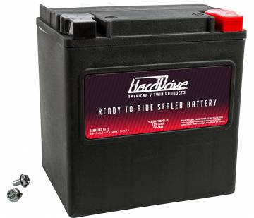 HardDrive AGM Battery YIX30L / YB30L-B